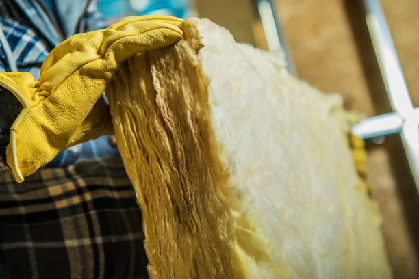 Best Wall Insulation Contractor  in Hartington, NE