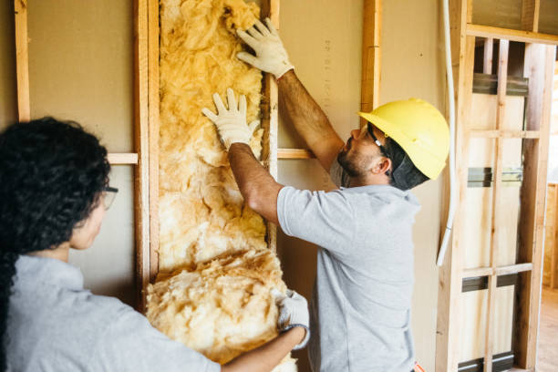 Trusted Hartington, NE Insulation Contractor Experts