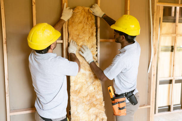 Best Insulation for New Construction  in Hartington, NE