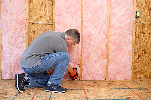 Best Crawl Space Insulation  in Hartington, NE