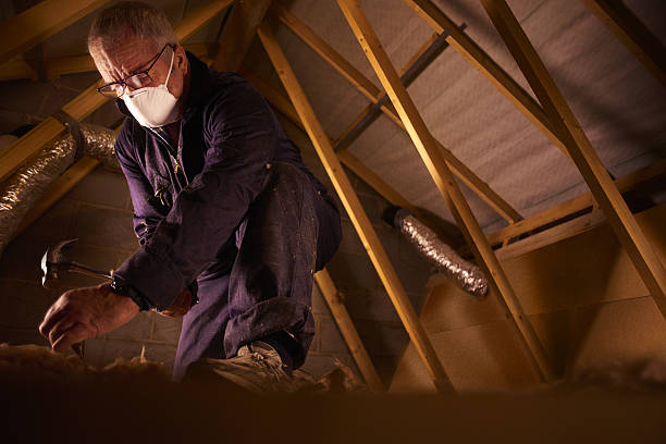 Best Garage Insulation Installation  in Hartington, NE