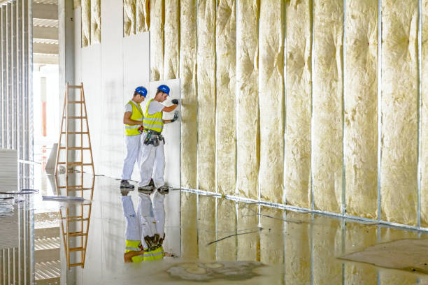Best Insulation Replacement Services  in Hartington, NE